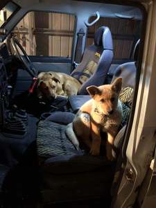 Auto Parts: Huracan Fab - Nissan GQ Y60 Patrol seat adapter kit