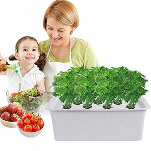 Products: Deep Water Culture Hydroponic System - NZ Wide Delivery