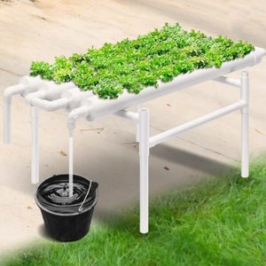 Hydroponics Growing System - & Save NZ Wide
