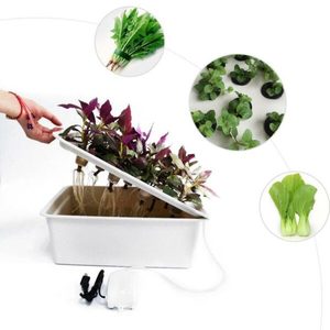 Products: Hydroponic Planter & Save NZ Wide Delivery