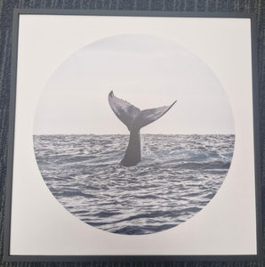 Whale Tail Circle - Toi Toi Maori Art & Gift