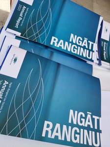 Te Rūnanga o Ngāti Ranginui Iwi