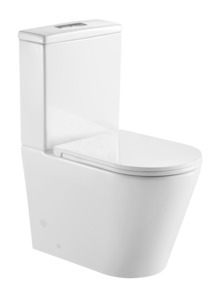 Toilet -  Back to wall  Rimless Flushing Toilet