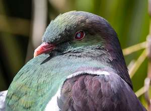 Products: Photography Tour Gift Card