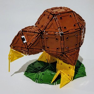 Build a Kiwi - N'Gons