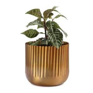 Indoor Planters Stands Garden Structures Figurines: Kutta Indoor Metal Planter - Brass Finish