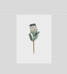 Kitchen Dining: Father Rabbit | Tea Towel | Protea