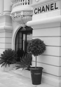 Chanel Boutique Store | White Box Frame | A2