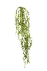 fern hanging tassel