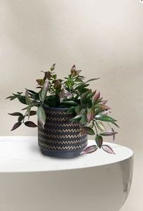 black & gold zigzag planter