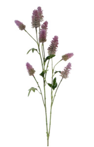 flowers hare's foot clover