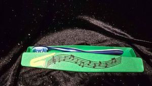 Music Toothbrush Travel Case