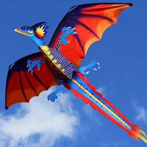 Kites: 3D Dragon Kite With Tail