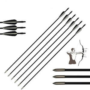 80cm Fiberglass Arrows - 6 Pack