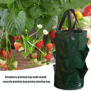 Gardening Essentials: 3L Multi-Mouth Vertical Vege/Flower Planter