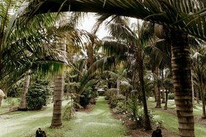 Move and Mantra - Niki Loe - Auckland Wellness Practitioner