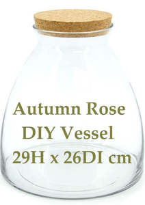 DIY Terrariums: DIY Kit - Pick up only