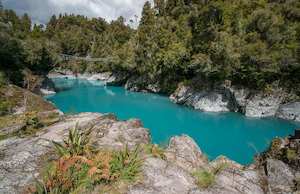 New Zealand: Hokitika Gorge with Bridge + Native Bush
