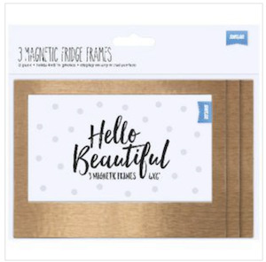 3 6x4 Magnetic Frames