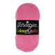 Scheepjes Colour Crafter - 1241 - Den Bosch