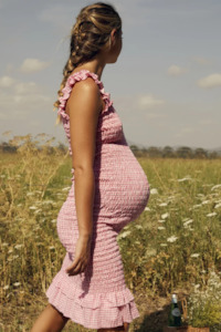 Ljc: Eva Dress | Mini Pink Gingham