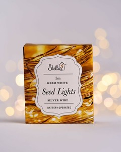 Christmas: 5m AA Silver Warm White 50 LED Seed Lights