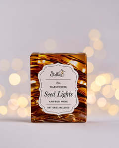 Christmas: 2mtr Stellar Copper Wire Seed Lights