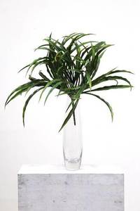 ARTIFICIAL FOLIAGE -  Plastic Vanilla Grass Bush (Red Edge)