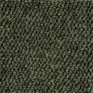 Carpet: Boucle Loop Wool Carpet Moss