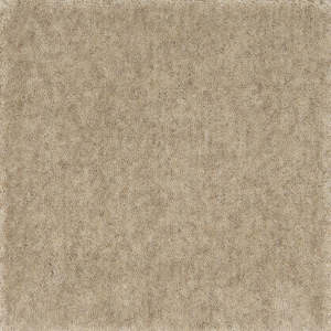 Cut Pile Wool Carpet Sample Oatmeal