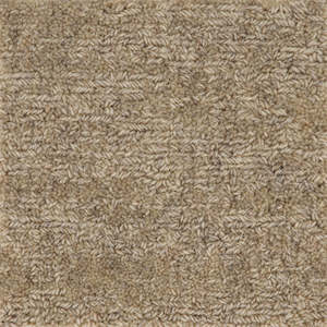 Rug Samples: Tip Sheared Wool Rug Sample Biscuit