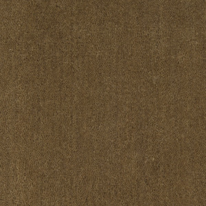Carpet: Cut Pile Wool Carpet Khaki