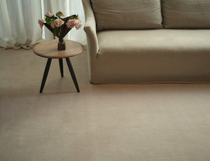 Tip Sheared Wool Rug Chalk