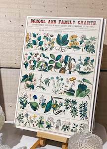 Plant Themed: Plant Biology Print