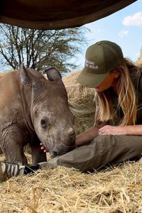 BE. Charity Bangle + Cuff - 'Saving The Wild'