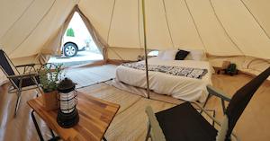 Gift Ideas 250 500: Alex and Adam's Wedding