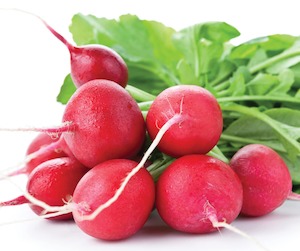 Fruits Vegetables: Radishes (bunch)