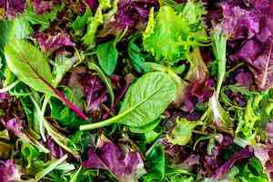 Mesclun mix