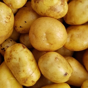 NEW Potatoes
