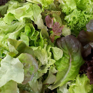 Fruits Vegetables: Lettuce & Herbs Mix (bags)