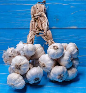 Fruits Vegetables: Garlic head