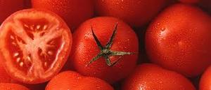 Fruits Vegetables: Tomatoes