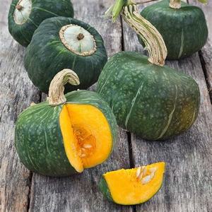 Fruits Vegetables: Buttercup squash