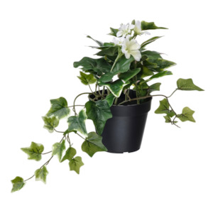 Indoor Gardens: Ikea Fejka Artificial Plant, Pelargonia Ivy