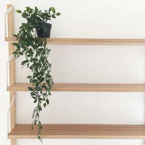 Ikea Fejka Artificial Plant, Hanging Ivy, 9cm