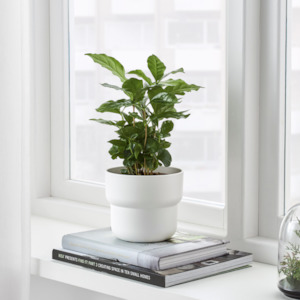 Ikea Forenlig Plant Pot, White