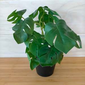Indoor Gardens: Ikea Fejka Artificial Plant, Monstera