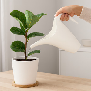 Indoor Gardens: Ikea PS Watering Can, 1.2L
