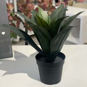 Ikea Fejka Artificial Plant, Agave