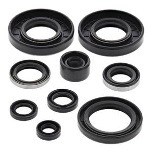 Engine: Oil Seal Kit 822292